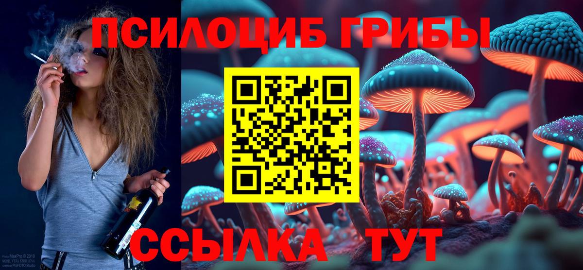 Киреевск  Псилоцибиновые грибы GOLDEN TEACHER  Вход с VPN 