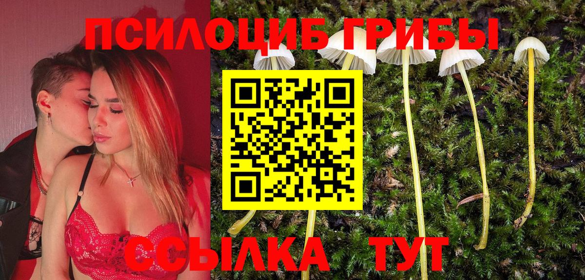 Псилоцибиновые грибы мицелий Киреевск